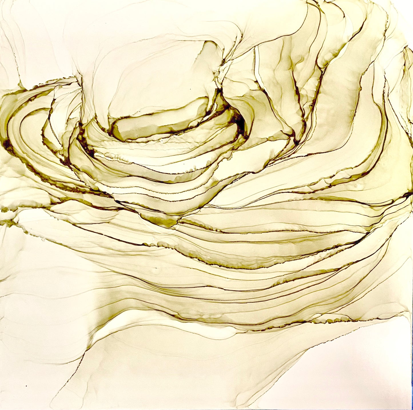 Fine Layers
